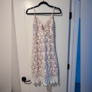 J.O.A. Cream and White Backless Lace Dress